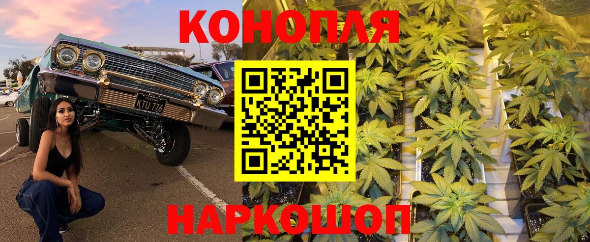 МАРИХУАНА Bruce Banner  Бошки марихуана план  Шишки марихуана LSD WEED  Касимов  Вход с VPN 